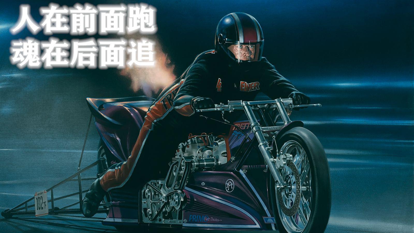 SHIB创下年内新高，上扬幅高达LDO%，还能追吗？