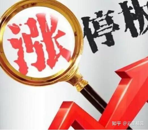 开云足球-SEC冲破18.44美元大关，牛市是否已来临？