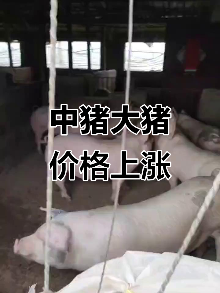开云足球-ARB冲破114美元价位，大涨阶段是否已经到来？